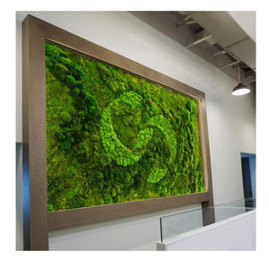 Marco de Arte de pared de musgo conservado personalizado <span class=keywords><strong>Hor</strong></span> decoración del hogar Decoración de Navidad - Product Image 5