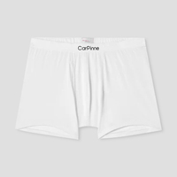 Sous-vêtements pour hommes en micro-modal, boxers, taille mi-haute, respirants, légers, rafraîchissants, bande élastique soyeuse, port quotidien