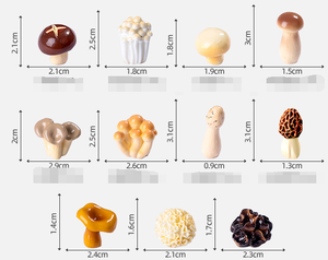 Resina in miniatura simpatico cartone animato Shiitake enoki re ostrica funghi ostrica spugnole fungo bianco fungo nero fata ornamenti da giardino - Product Image 6