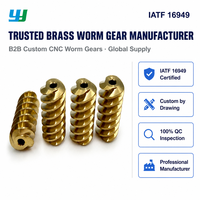 Fabricant d'arbres à vis sans fin en laiton usinés CNC de haute précision et sur mesure, longueur 16 mm