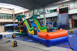 Toboggan gonflable pour enfants de qualité commerciale, petit toboggan aquatique gonflable pas cher à vendre - Product Image 6