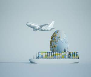 最便宜的运费中国到巴基斯坦亚洲墨西哥美国加拿大法国澳大利亚阿联酋英国意大利海运代理 - Product Image 6