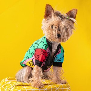 Großhandel Luxuriöse Klassische Sommer-Herbst Haustier-Pullover Hochelastische Hundekardigans Katzenmäntel Niedliches Tiermuster Polyester Halloween - Product Image 1