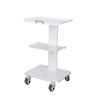 Chariot de laboratoire dentaire à 3 niveaux en métal blanc de haute qualité, chariot de rangement roulant, mobilier de clinique pour cabinet dentaire