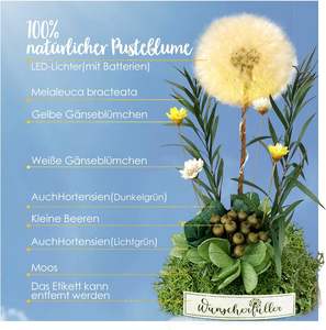 AYOYO Flor Eterna, Diente de León en Botella de Cristal, Adorno, Regalo, Flor Seca, Flor Auténtica, Regalo para el Día del Maestro, San Valentín 2026 - Product Image 4