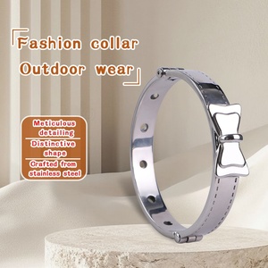Collar y Correa Metálicos FISTSX, Collar de Restricción BDSM, Correa de Cadena Metálica, Juguetes Sexuales para Parejas - Product Image 3