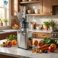 Extracteur de jus multi-fruits et légumes |   Machine de pressage à froid automatique, système de pressage à froid pour les baies, les agrumes, le gingembre et les légumes-feuilles