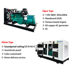20KW 30KW 50KW 100KW 150KW 200KW 300KW 400KW 500KW Gas naturale Biogas CNG metano generatore CHP Biogas purificazione - Product Image 4
