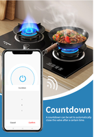 Contrôleur de sécurité intelligent TUYA pour la maison avec coupure automatique du gaz et de l'eau, 240V/10A, alimenté par prise, minuterie et gestion à distance CN