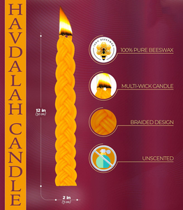 <span class=keywords><strong>Bougie</strong></span> Havdalah en <span class=keywords><strong>cire</strong></span> <span class=keywords><strong>d</strong></span>'<span class=keywords><strong>abeille</strong></span> tressée OHR CANDLES - <span class=keywords><strong>Cire</strong></span> <span class=keywords><strong>d</strong></span>'<span class=keywords><strong>abeille</strong></span> <span class=keywords><strong>pure</strong></span> - <span class=keywords><strong>Bougie</strong></span> de Shabbat - Cadeau de Judaïca pour Shabbat - Tresse plate - 1 paquet - Product Image 5