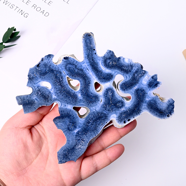 New Arrival Natural Gemstone Crystal Stone Hand Polished Mineral Specimen Blue Coral Slice Slab