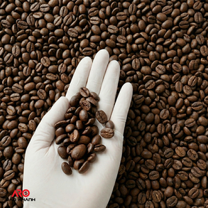 Grains de café Robusta de qualité supérieure, très demandés, origine Vietnam, arôme riche, approvisionnement en vrac pour la vente en gros - Product Image 3