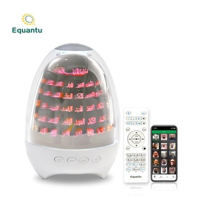 Equantu Islamic Gifts Quran Speaker Egg Shape Touch Lamp 99 <b>Names</b> of Allah Colorful <b>Light</b> Quran Player - Product Image 2