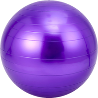 Pelota de Yoga Grande con Logotipo Personalizado, 55 cm, 65 cm, 75 cm, Accesorios de Fitness, Pelota de Ejercicio Económica para Fisioterapia