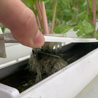 Système horticole de croissance NFT hydroponique horizontale, serre agricole, noir