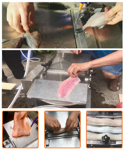 Macchina Pelatrice per Pesci Multifunzione Commerciale Antiruggine per Lavorazione di Seppie e Salmone - Product Image 5