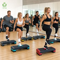 Plateforme de Step Aérobic Réglable 78 cm, 3 Niveaux de Hauteur, Planche de Step Fitness en PP, Stepper de Gym, Vente en Gros Usine