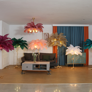 Nghệ Thuật Lớn Deco Overarching Phòng Ngủ Thay Đổi Độ Sáng Sang Trọng LED Đèn Bắc Âu Đèn Phòng Độc Đáo Tùy Chỉnh Đà Điểu Lông Sàn Đèn - Product Image 2