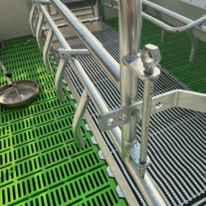 Nuove Gabbie per Suini di Design Popolare per Allevamenti e Riproduzione Animale - Product Image 6