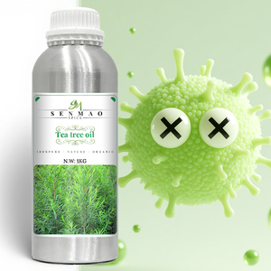 Huile d'arbre à thé en vrac prix de gros en vrac marque privée 100% pur naturel biologique pour la fabrication de bactériostatique - Product Image 1