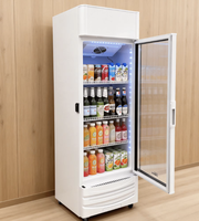 Réfrigérateur commercial sur mesure de 500 L avec vitrine, réfrigérateur à bière, refroidisseur de boissons énergisantes à porte vitrée