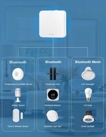 Passerelle IoT sans fil RKHK programmable Tuya Smart Home multimode BLE WIFI avec contrôle par application, usine source OEM