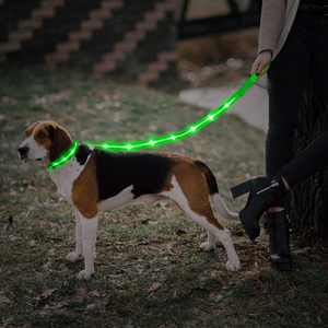 Yeni sürüm pet ürünleri usb yeniden şarj edilebilir evcil hayvan tasması parlak Led köpek tasma - Product Image 6