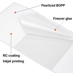 インクジェットブランクロールラベルグロスPP冷凍庫ラベルエプソン<span class=keywords><strong>TM</strong></span>用食品包装ラベル-C3500 - Product Image 5