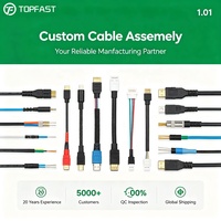 Kit de faisceau de câbles OEM/ODM de haute qualité, assemblage de câbles électriques personnalisé pour carte de contrôle de vol de drone/UAV et appareils électroniques PCB