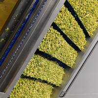 1000kg/uur Fries Fruit Snelle Continue Bandtransportband Tunnel Industriële Vriesinstallatie Vloeibaarbed IQF Vriesmachine