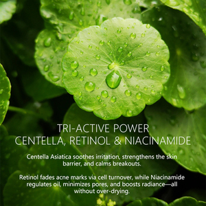 เซรั่มบำรุงผิวหน้า Centella Asiatica Niacinamide สำหรับการดูแลรักษา<span class=keywords><strong>สิว</strong></span>ลดจุดด่างดำฉลากตามต้องการ - Product Image 3