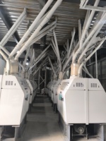 Équipement de fabrication de farine de maïs et de blé pour usage industriel, machine à moudre le maïs automatique, composants essentiels du moteur, garantie de 2 ans