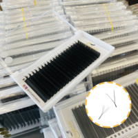 Cils individuels en forme de W V Y de marque privée, extensions de cils de haute qualité 3D 4D 5D 6D 7D 8D, fibres technologiques Clover