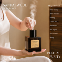 Diffuseur d'arômes portable en verre coloré en forme de flacon de parfum, brume fine, pour chambre et étagère
