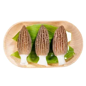 Detan Wholesale Pure Original Fresh Morel Mushroom