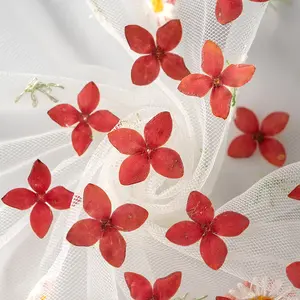 Gedroogde Bloemen Ixora Chinensis Pressed Flower Scrapbooking Diy Hars Sieraden Ambachten Nagels Decor Kaars Zeep Maken
