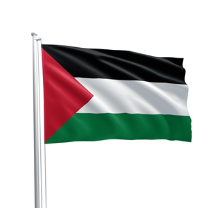 Banderas de Palestina impresas en poliéster 100% listas para enviar, 3x5 pies, con ojales de latón - Product Image 1