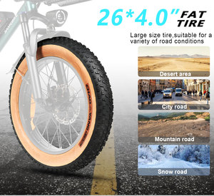 Bicicleta eléctrica de carga con logotipo personalizado, potente herramienta eléctrica, 48v 15.6Ah+20Ah, baterías dobles, con cesta. - Product Image 3