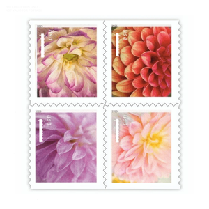 Vente en gros de timbres-<span class=keywords><strong>poste</strong></span> <span class=keywords><strong>personnalisés</strong></span> à thème floral des États-Unis, étiquettes de collection uniquement - Product Image 4