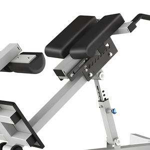 Silla Romana Ajustable de 45 Grados, Banco de Hiperextensión, Equipo de Gimnasio Comercial para Entrenamiento de Core, Venta Directa de Fábrica, Bajo MOQ - Product Image 6