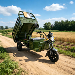 1000W Dirt Bike Tricycle EEC COC Certified High Speed 1.5*1m <b>Box</b> for Off Road Use Tricycles - Product Image 1