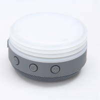 Nouveautés 2026 Emerit Designs tendance Bouteilles d'eau isothermes à double paroi personnalisées avec haut-parleur Bluetooth