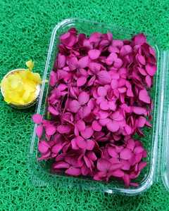 ดอกไฮเดรนเยียสดสีชมพู กลีบดอกไม้ประดับตกแต่ง สำหรับช่อดอกไม้ ของขวัญ และตกแต่งงานอีเว้นท์ - Product Image 1