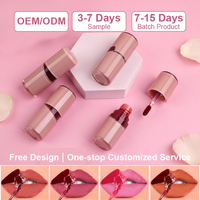 Gloss à lèvres personnalisé avec logo de marque privée, maquillage de luxe, teinte à lèvres longue durée, rouge à lèvres liquide en gros, produits de beauté pour femmes