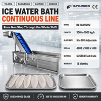 Ligne de Transformation Enrobeuse de Glace pour Fruits de Mer Acier Inox 304 Bac d'Eau Glacée Cuve Ouverte Tilapia Glazurage