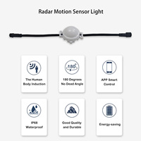 HRSYT DC12V 24V 36V 48V APP contrôle intelligent LED guirlande lumineuse extérieure permanente corps humain capteur de mouvement lumière
