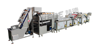 Machine automatique industrielle de fabrication de chips de pommes de terre frites ligne de production de friture de collations