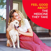 Complément alimentaire naturel pour animaux de compagnie, gouttes liquides de chardon-Marie pour la santé de la peau et du pelage et la santé digestive des chiens et des chats