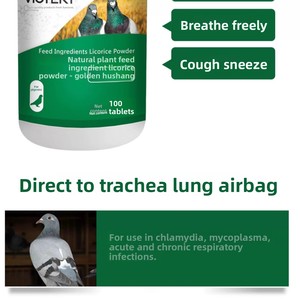 Tabletas <span class=keywords><strong>VICTORY</strong></span> Ge Jin Hu Shuang con Extracto de Plantas para la Salud Respiratoria de las Palomas de Competición - Ecológicas y Altamente Proteicas - Product Image 3