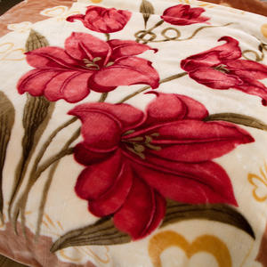 Couverture en velours Raschel épaisse et moelleuse, taille Queen, tricotée sur mesure, style coréen, en polaire, pour l'hiver, vente en gros - Product Image 3